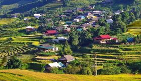 Sapa View Village and Rice-fields